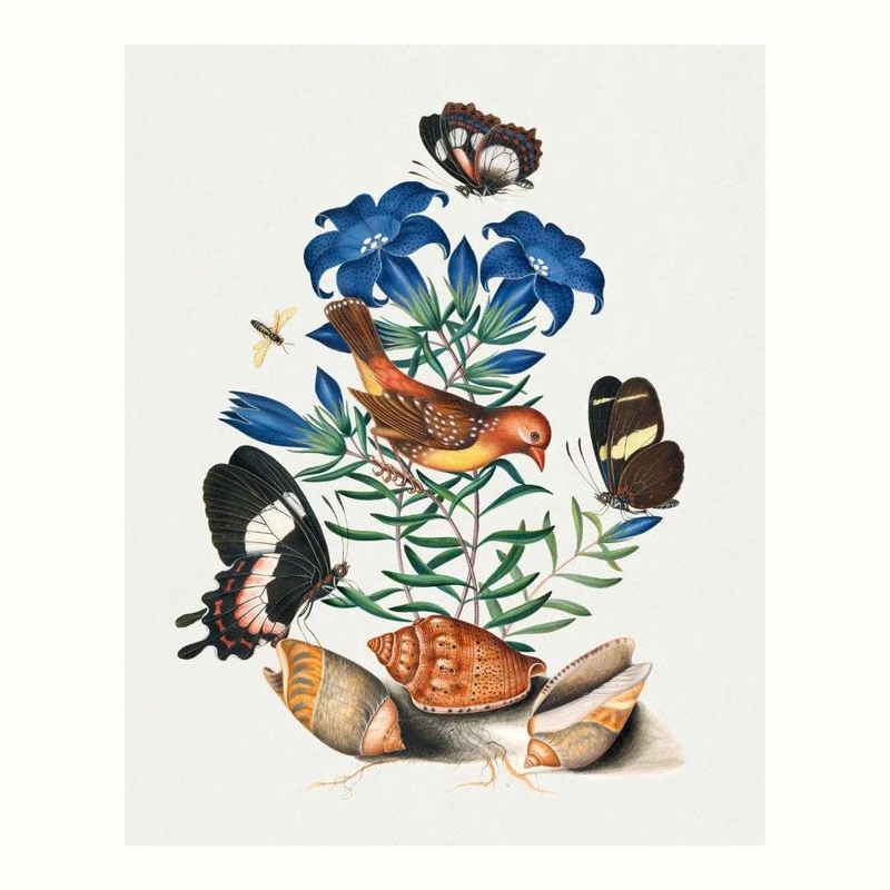 پوستر مدل چاپ قدیمی پروانه