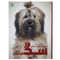 کتاب دانشنامه مصور دنیای شگفت انگیز سگ سانان اثر جولیت کلاتن.براک