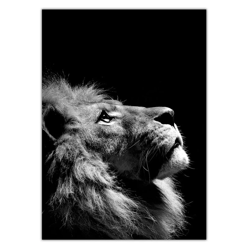 تابلو شاسی ونسونی طرح Disappointed Lion سایز 30 × 40 سانتی متر