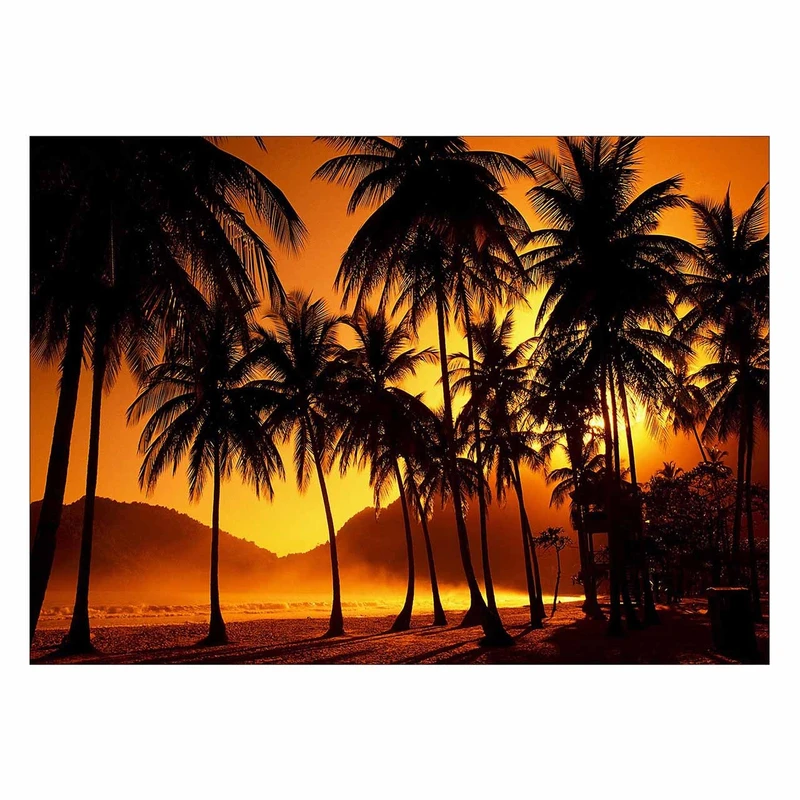 تابلو شاسی ونسونی طرح Sunset Beyond Palms سایز 50x70 سانتی متر