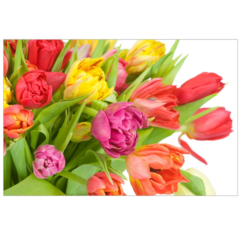 تابلو شاسی لابراتوار سهند طرح 7691 سایز 76 × 50