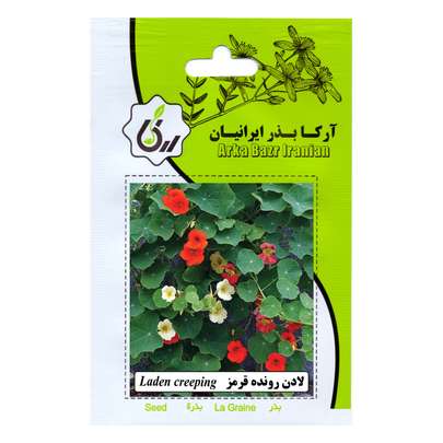 گل لادن نماد چیست - قلمه زدن گل لادن  مدل هلندی و علت زرد شدن برگ آن در خانه