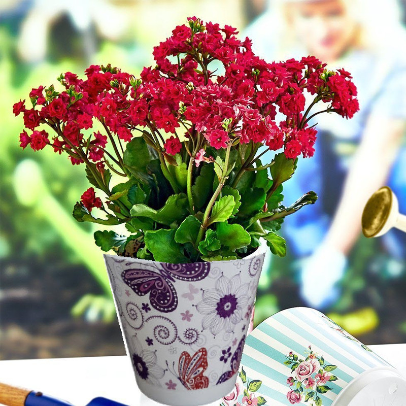 گلدان مدل پیچ و پروانه مجموعه دو عددی