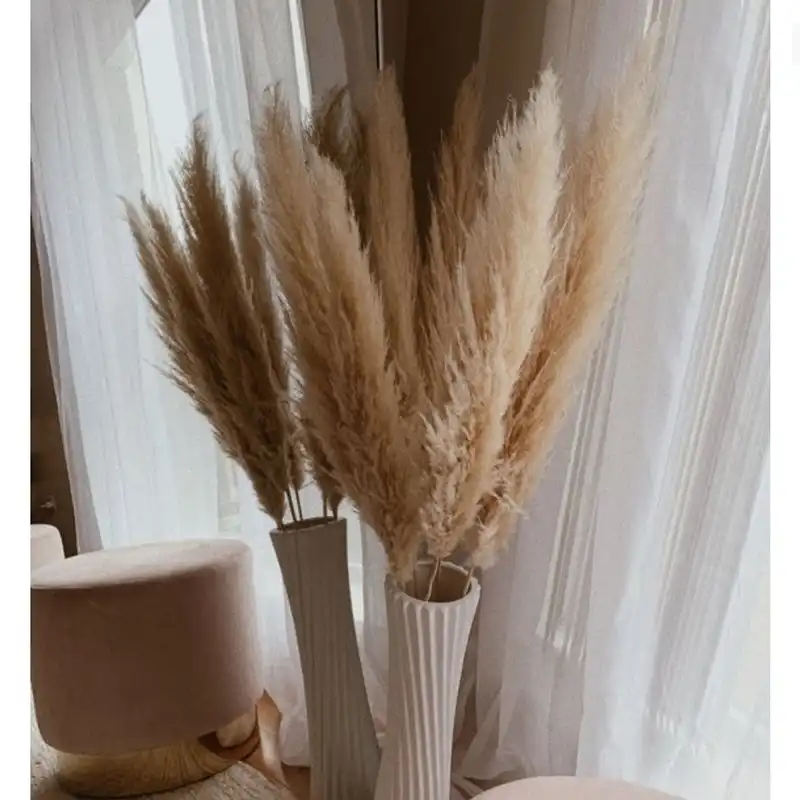 گل خشک مدل پامپاس بسته 6 عددی