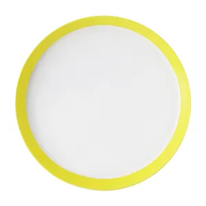 دیس زی مدل فرم اس 30 پاستل درجه یک