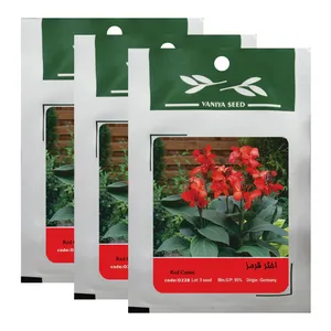 بذر گل اختر قرمز وانیا سید کد O228 بسته 3 عددی