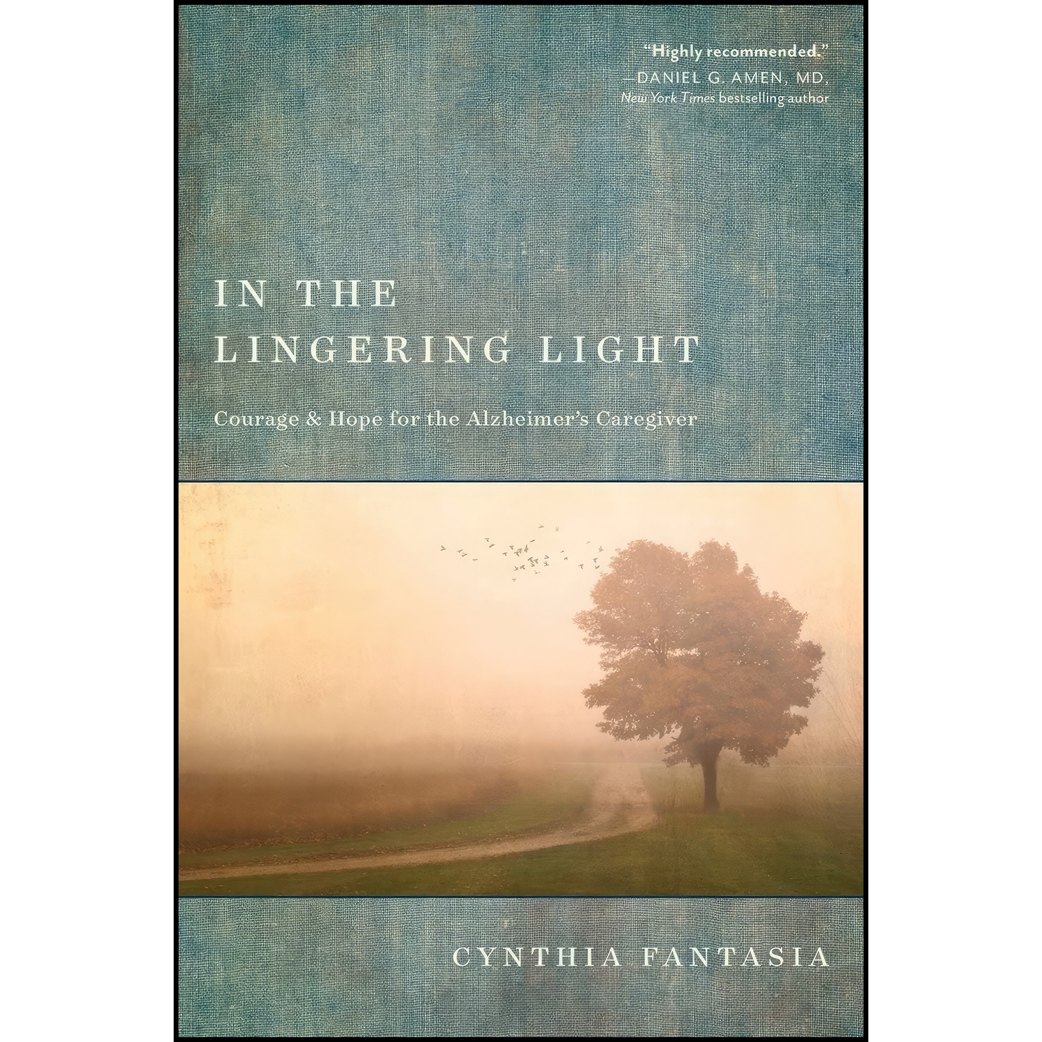کتاب In the Lingering Light اثر Cynthia Fantasia انتشارات NavPress