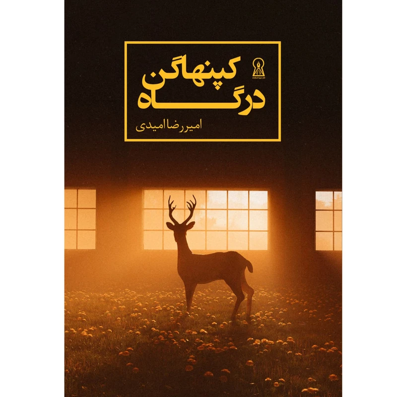 کتاب درگاه کپنهاگن اثر امیر رضا امیدی نشر زرین اندیشمند