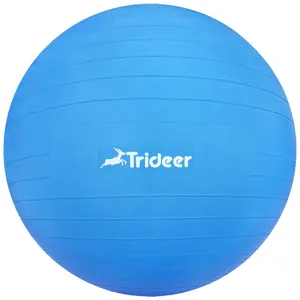 توپ بدنسازی تریدر مدل Professional Ball قطر 65 سانتی متر