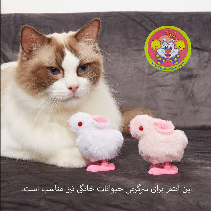 اسباب بازی کوکی دنیای سرگرمی های کمیاب مدل خرگوش گوش دراز