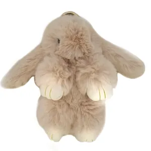 جاسوییچی پولیشی برساد مدل Rabbit01