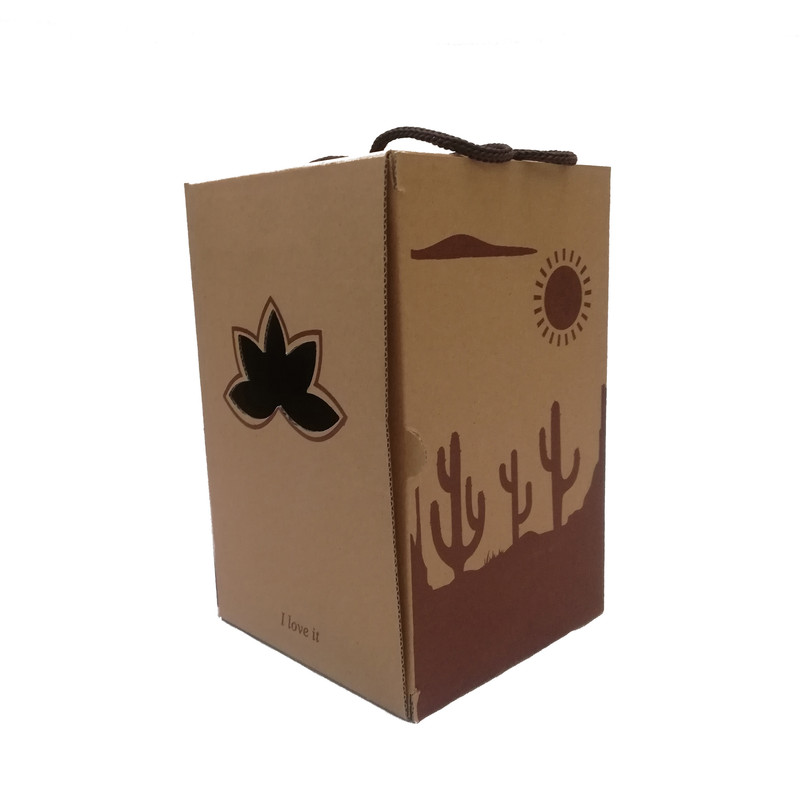 گیاه طبیعی کاکتوس اچینو مدل E12 گیاه طبیعی کاکتوس اچینو مدل E12