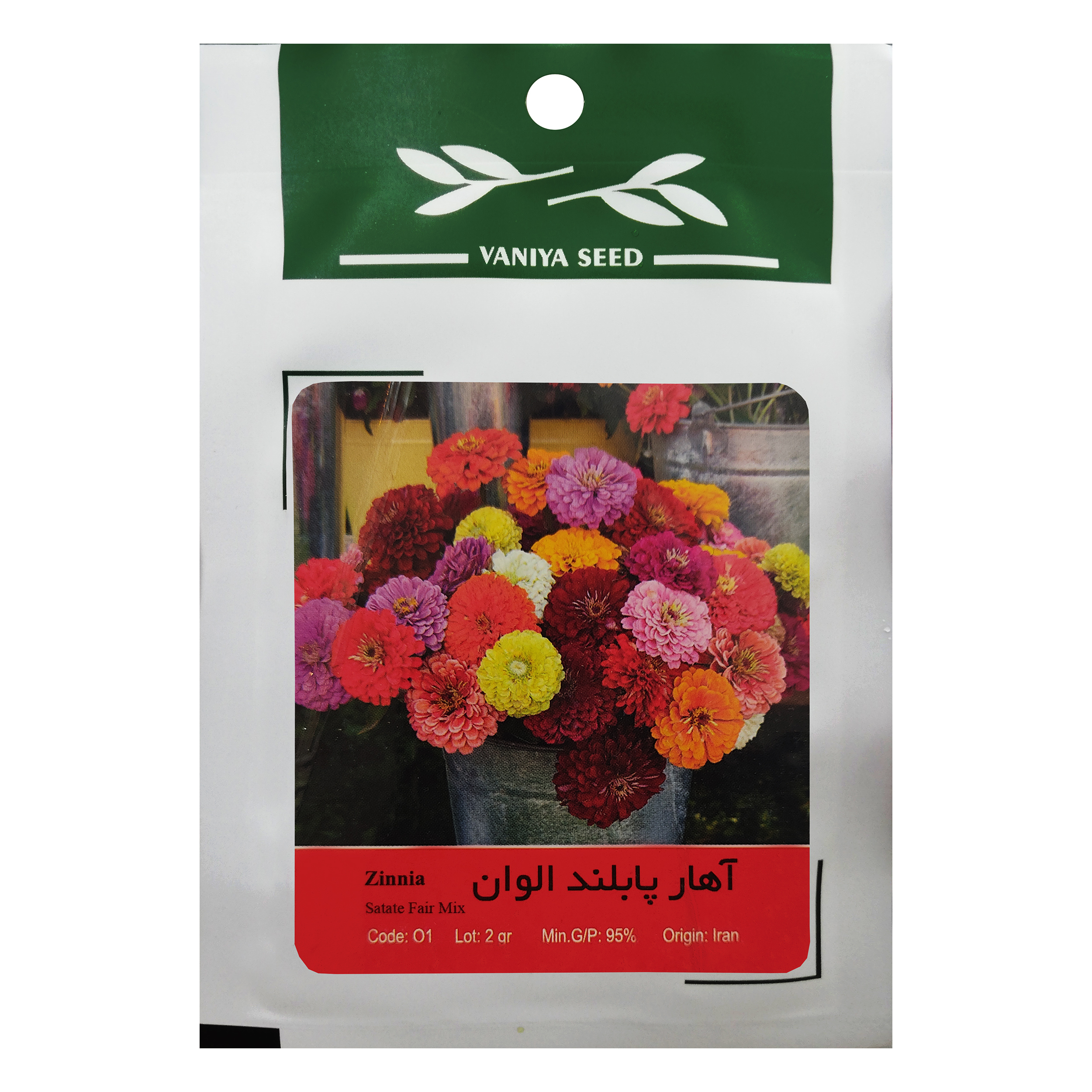 بذر گل آهار پابلند الوان وانیا سید مدل O1