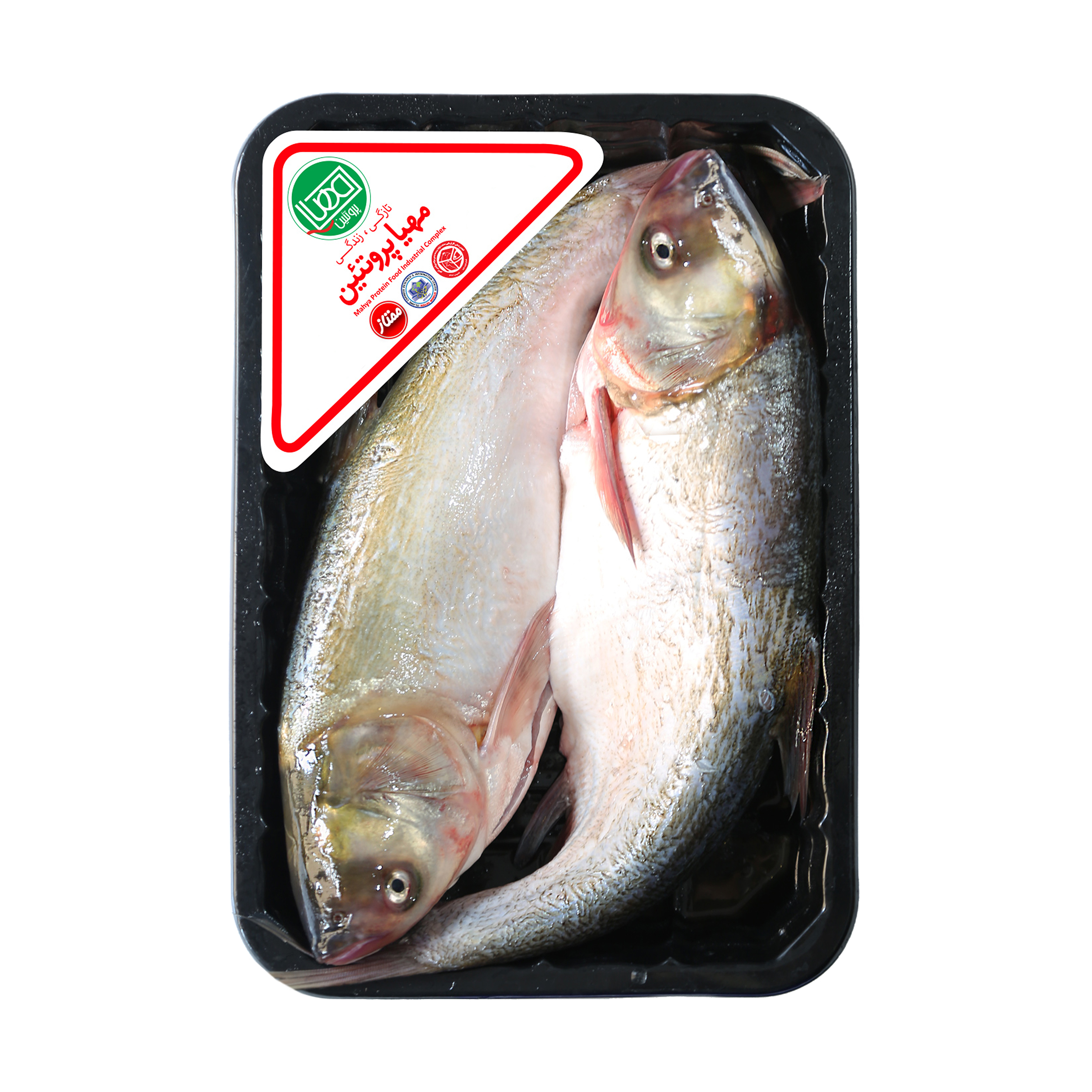 ماهي آزاد شکم خالي تازه مهيا پروتئين - 1.8 کيلوگرم	