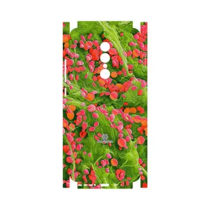 MAHOOT Atom Universe 3-FullSkin Cover Sticker for GLX Shahin