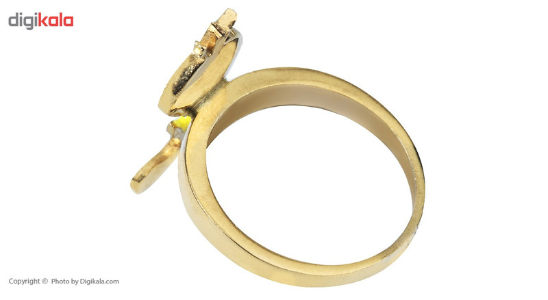 انگشتر مردانه رزا مدل RG31