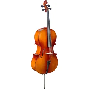 ویولن سل استگ مدل VNC-3/4L
