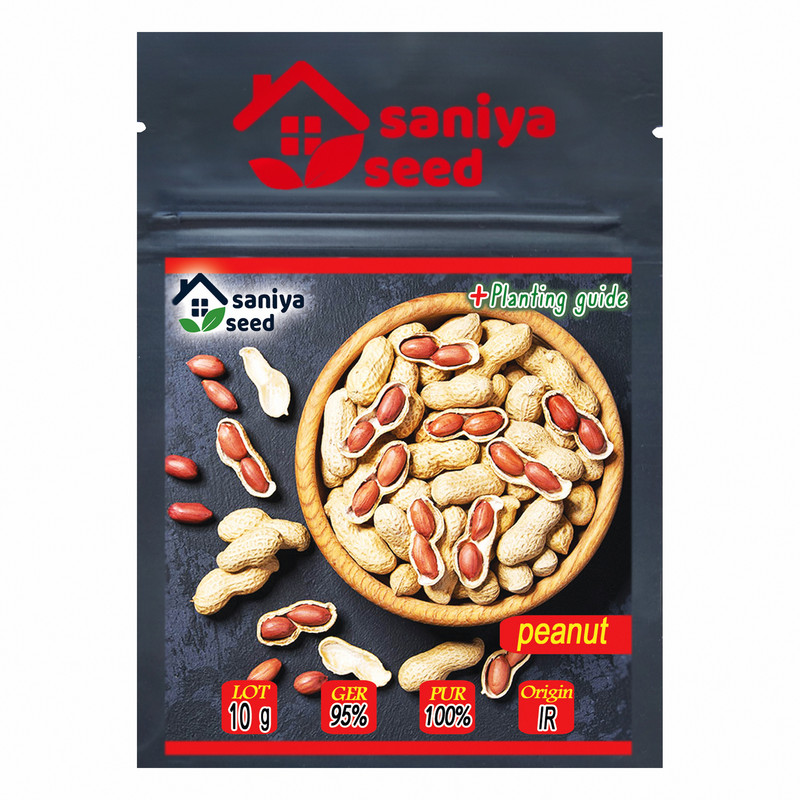 بذر بادام زمینی سانیا سید مدل S28 بذر بادام زمینی سانیا سید مدل S28