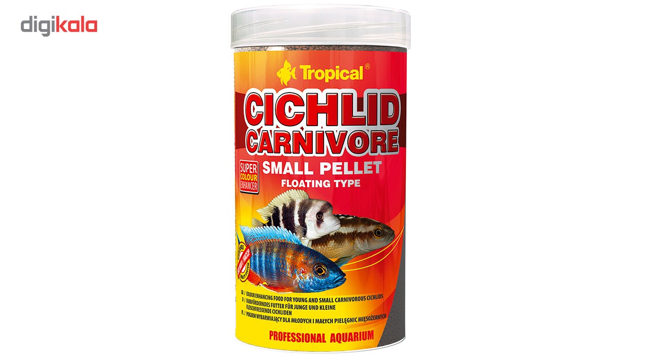 carnivorous cichlids