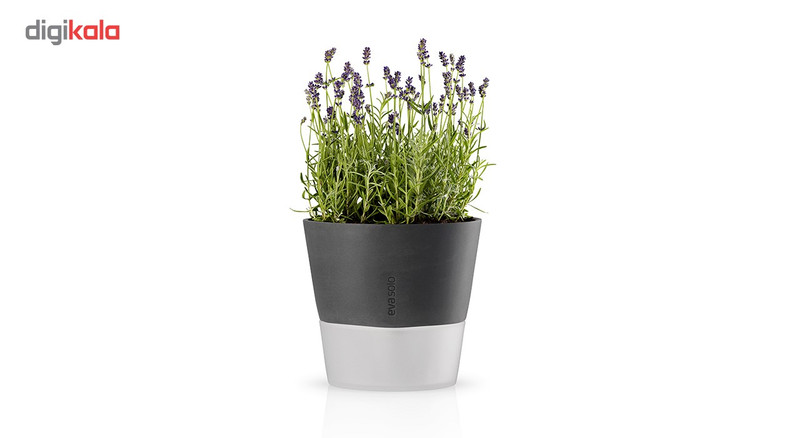 گلدان خودآبرسان اواسولو مدل 568116