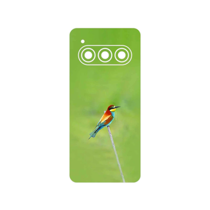 برچسب پوششی ماهوت مدل European bee-eater مناسب برای گوشی موبایل داریا Bond II 5G