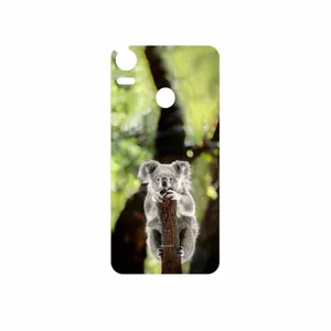 MAHOOT Koala bear Cover Sticker for HTC Desire 10 Pro