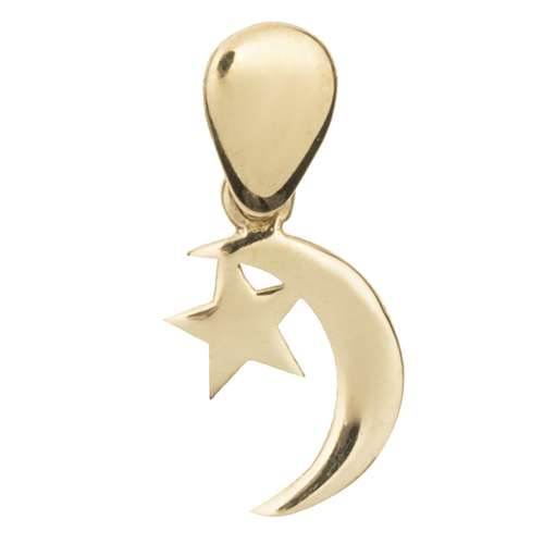 آویز گردنبند طلا 18 عیار زنانه ماهک مدل MM0590