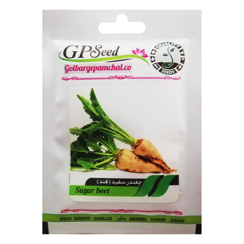 بذر چغندر قند سفید جی پی سید مدل GP2588 بذر چغندر قند سفید جی پی سید مدل GP2588