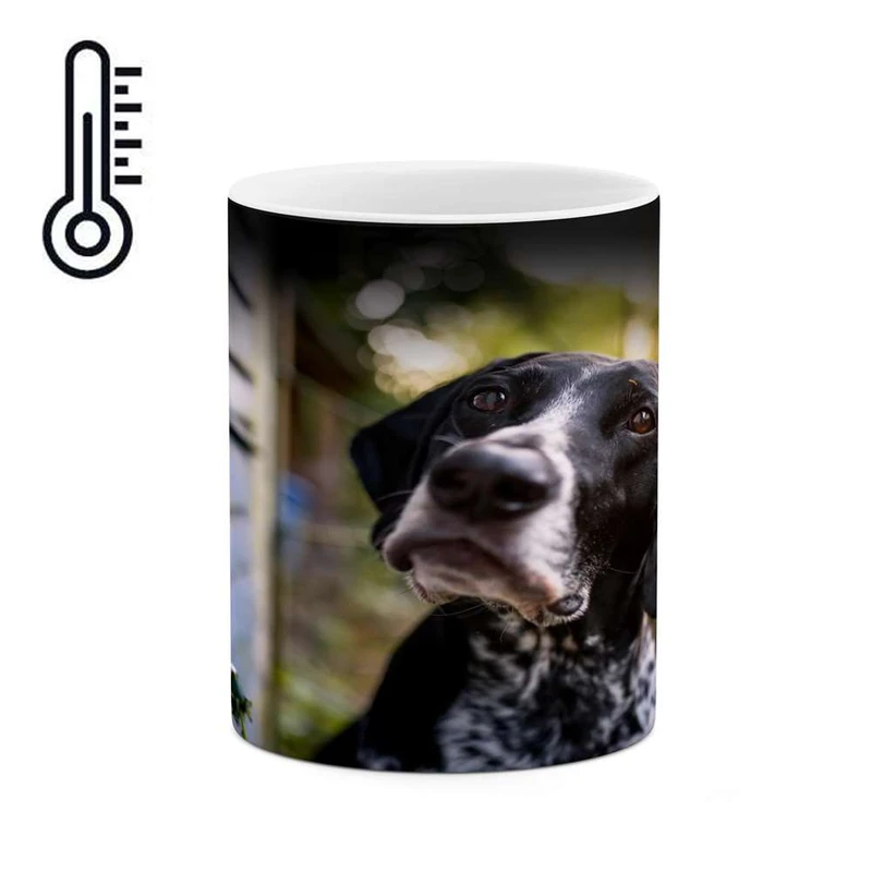 ماگ حرارتی کاکتی مدل سگ کد mgh16726