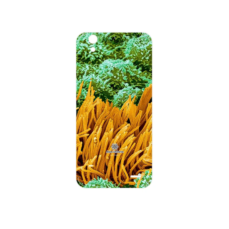 برچسب پوششی ماهوت مدل Atom Universe 6 مناسب برای گوشی موبایل هوآوی Ascend G630