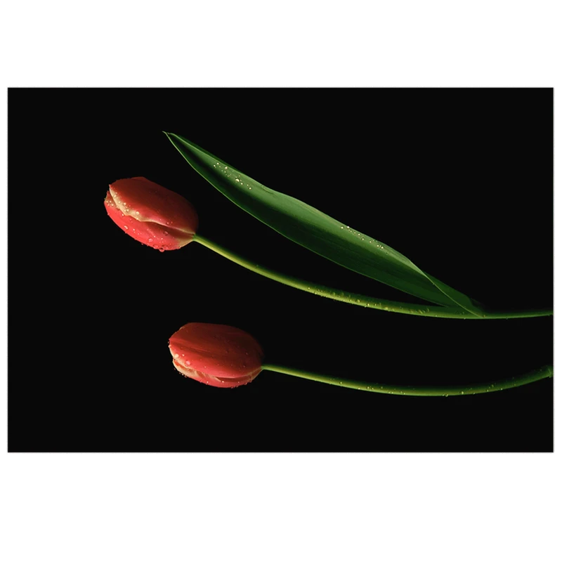 تابلو شاسی لابراتوار سهند طرح 394 سایز 45 × 30