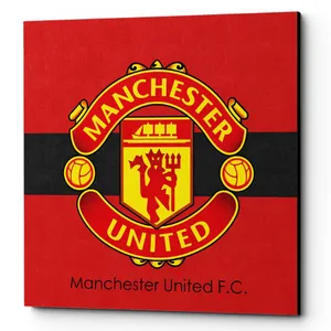 Lomana Manchester United CA005 Chassis 20x20