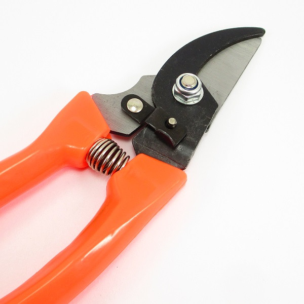 قیچی باغبانی کد 1006