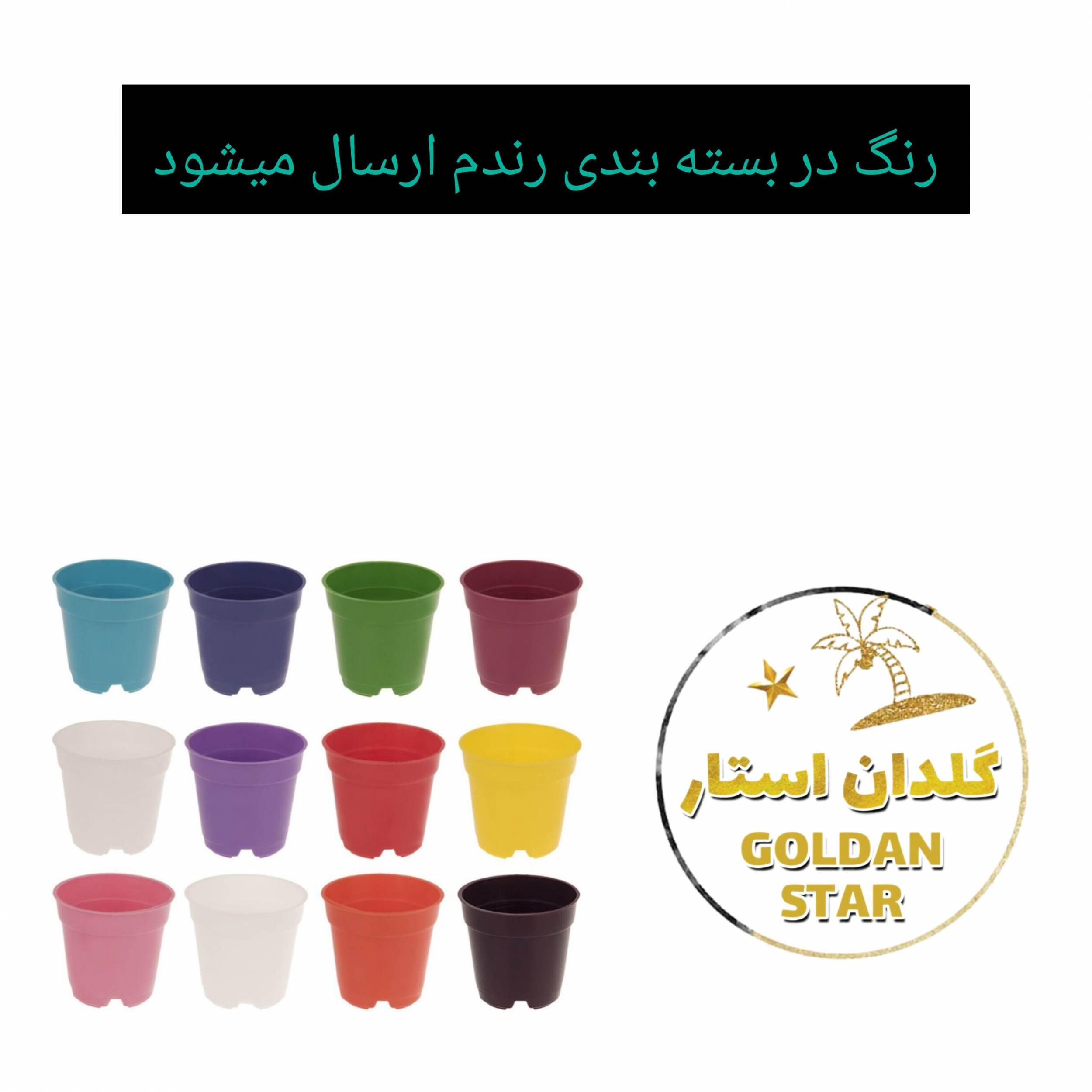 گلدان مدل کاکتوسی 6cm بسته 12 عددی گلدان مدل کاکتوسی 6cm بسته 12 عددی