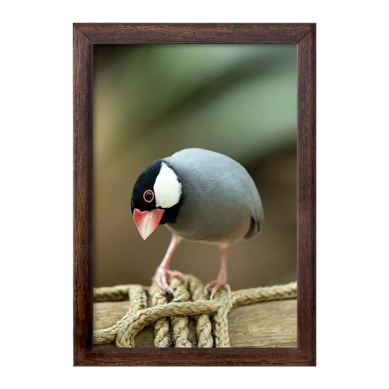 تابلو خندالو طرح پرنده کد F1261