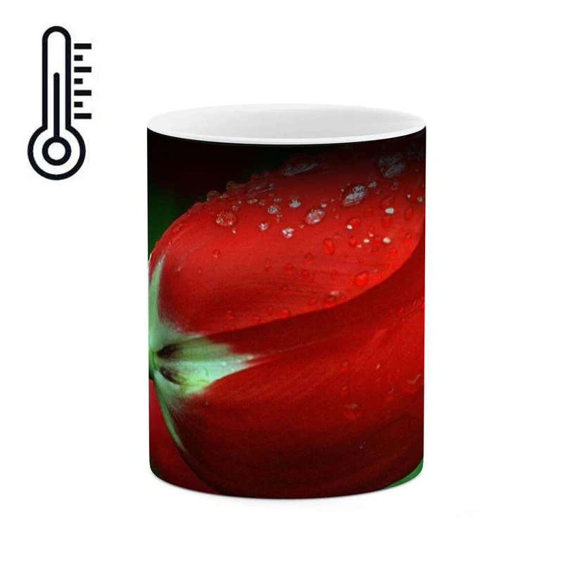 ماگ حرارتی کاکتی مدل گل رز کد mgh11983