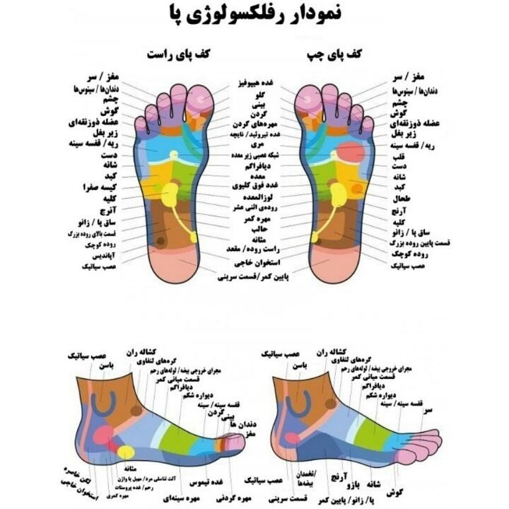ماساژور کف پا مدل Futzuki ماساژور کف پا مدل Futzuki