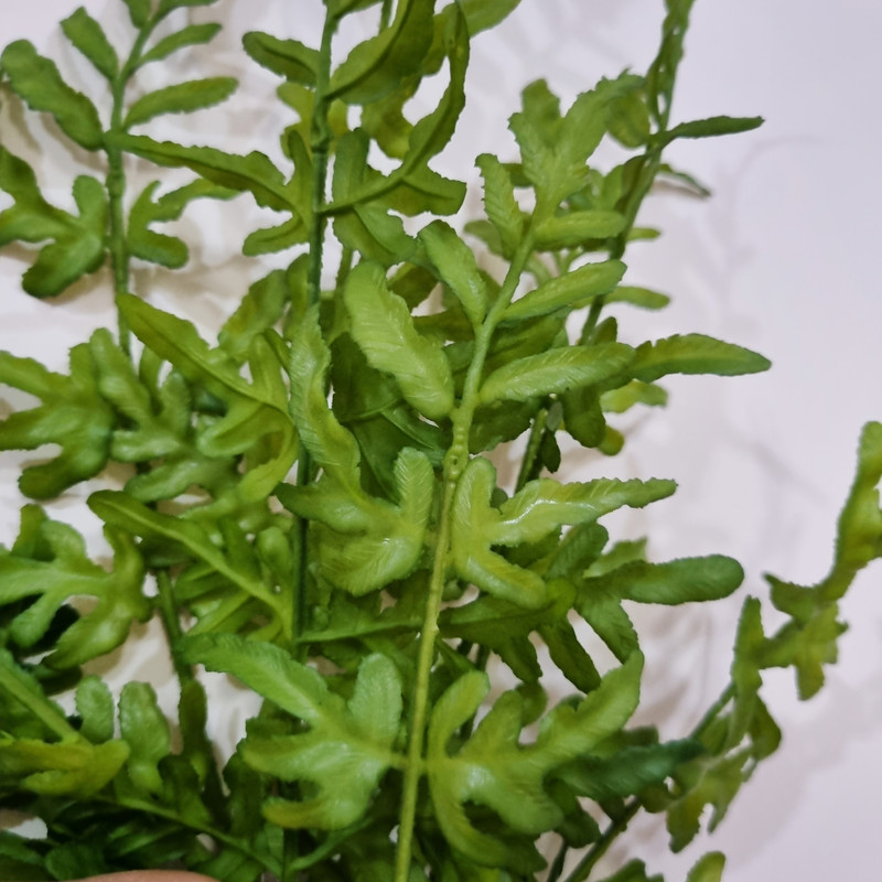 گل مصنوعی مدل شاخه سرخس لمسی