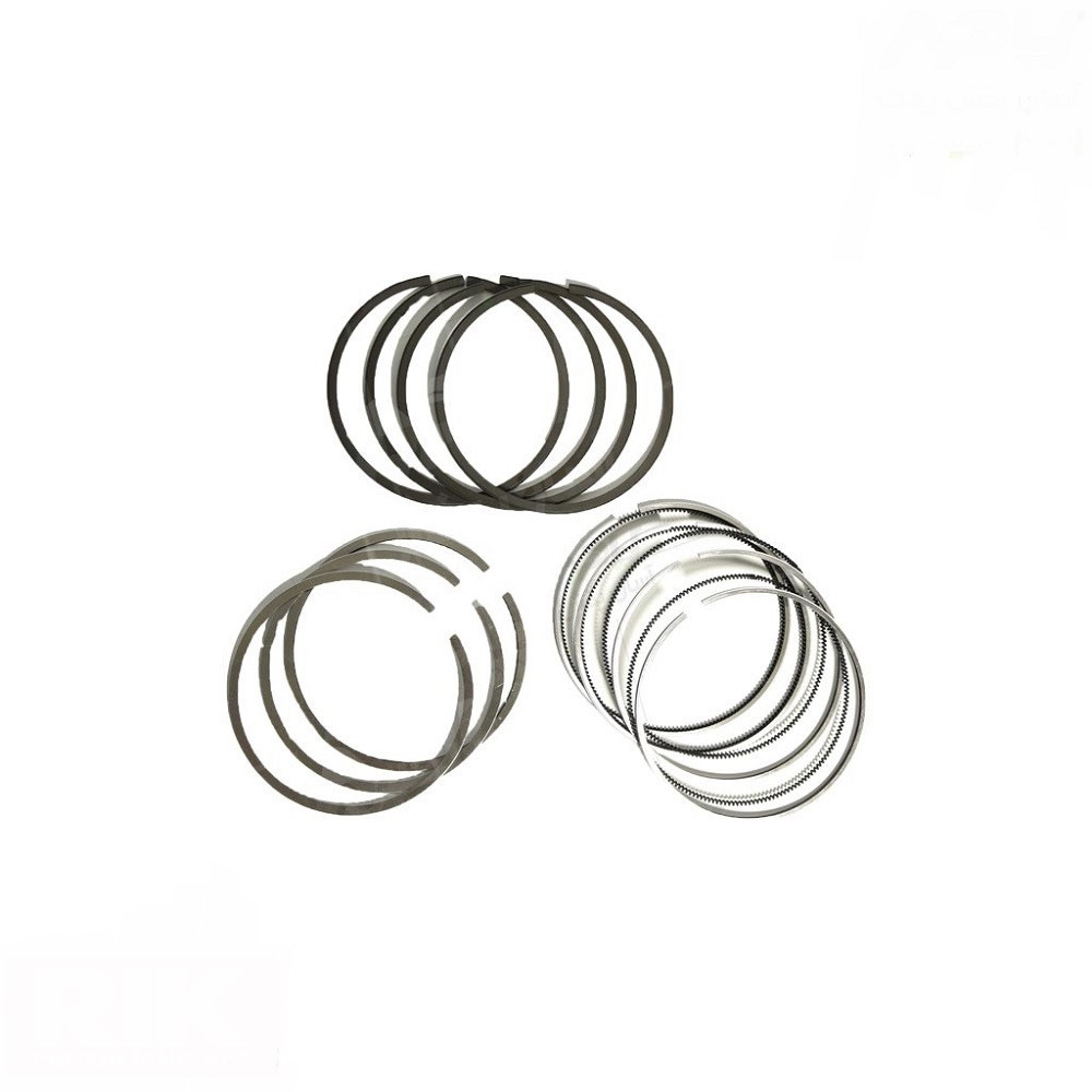 رینگ موتور ریک مدل 0/25 کد 01019 مناسب برای پراید بسته 20 عددی