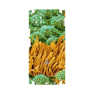 MAHOOT Atom Universe 6-FullSkin Cover Sticker for Huawei Nova Y60