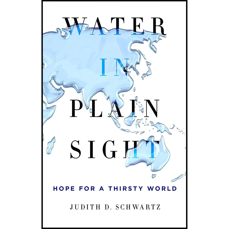 کتاب Water in Plain Sight اثر Judith D. Schwartz انتشارات St. Martins Press