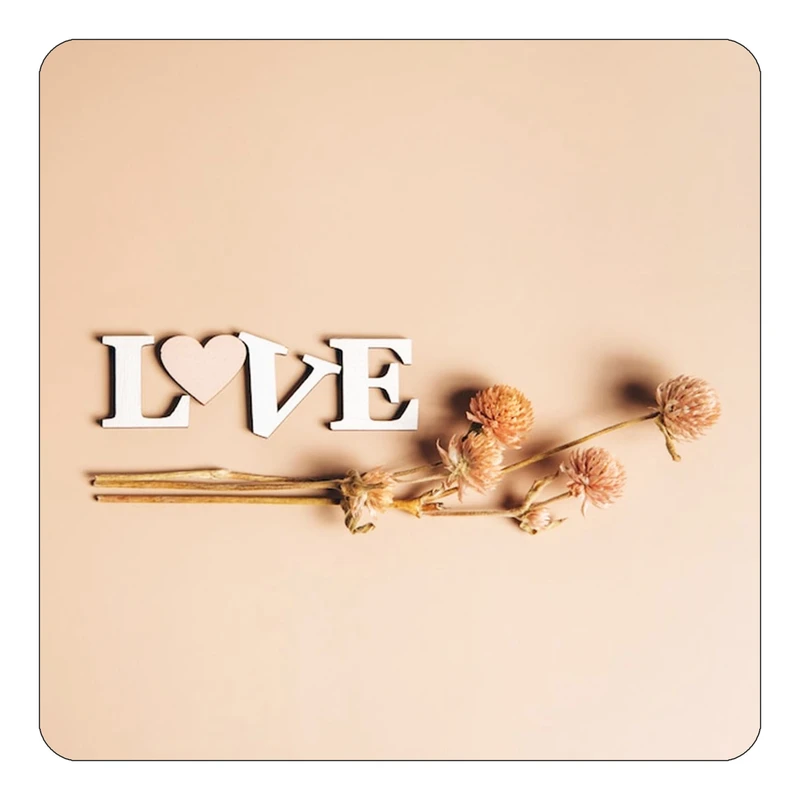 مگنت کاکتی طرح عاشقانه مدل mp37012