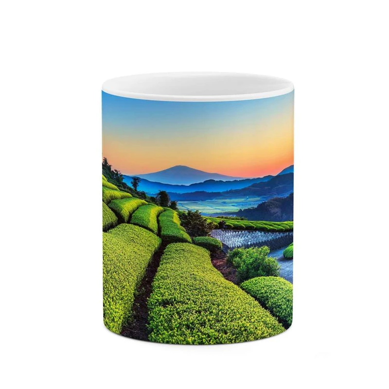 ماگ کاکتی مدل منظره کد mgh16295