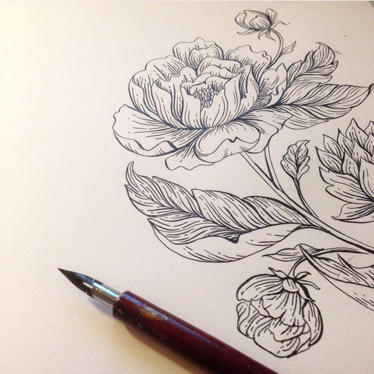 Рисунок ручкой цветок