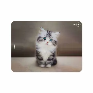 MAHOOT Cat-2 Cover Sticker for Apple iPad Pro 11 2018 A1980