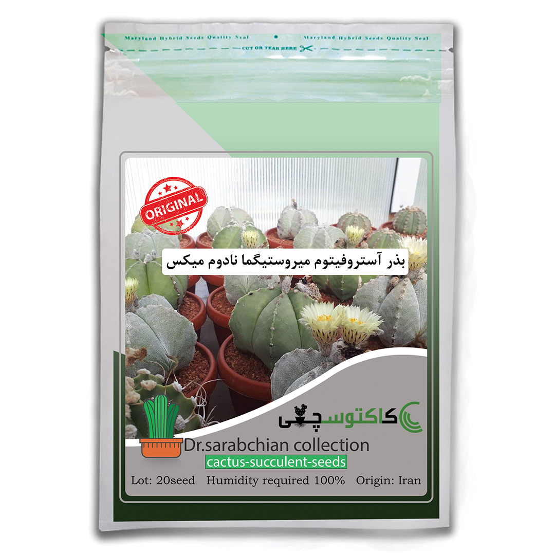 بذر آستروفیتوم میروستیگما نادوم میکس مجموعه کاکتوسچی مدل AM-019