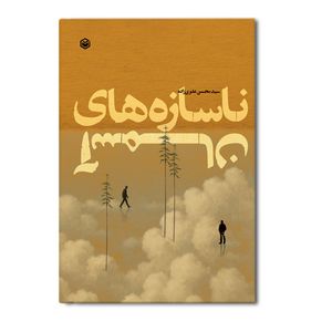 کتاب ناسازه‌ های آسمان اثر سید محسن علویزاده نشر متخصصان