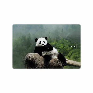 MAHOOT Panda Cover Sticker for Samsung Galaxy Tab S3 9.7 2017 T825