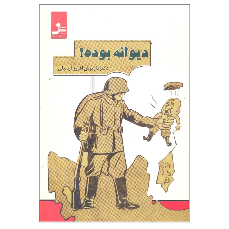کتاب دیوانه بوده اثر دکتر داریوش افروز اردبیلی نشر نسل نو اندیش