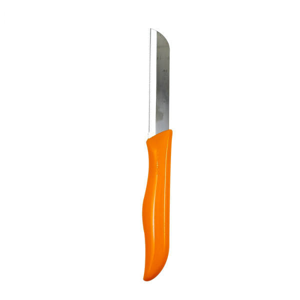 چاقو آشپزخانه فردینوکس مدل دو آشپز باشی 